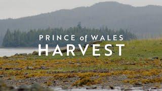 Prince of Whales Harvest Series Intro