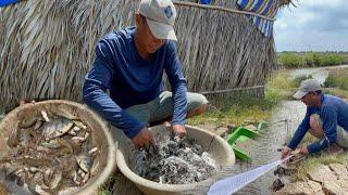Nước Sâu Phùng Kết Hợp 3 Nguyên Liệu Này Mới Chinh Phục Được Tôm Càng Và Cá Chốt | Tập 214