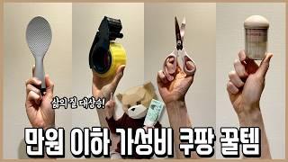 쿠팡에 월 천만원쓰고 고른 삶의 질 대상승시켜준 만원이하 꿀템!ㅣ내돈내산