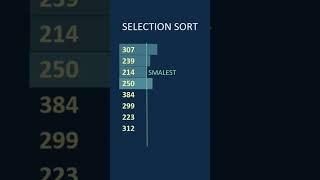 Selection Sort  #codinginterview #coding #programming #softwareengineer