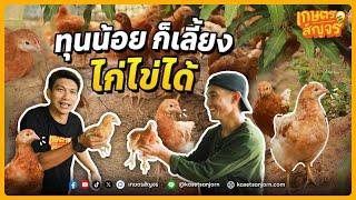 เลี้ยงไก่ไข่ แบบใช้ทุนน้อย ก็มีรายได้ | เกษตรสัญจร