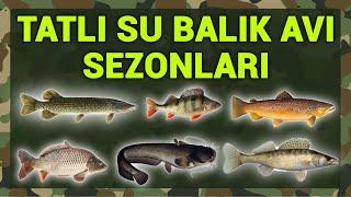 Tatlı Su Balıkçılığında Balık Avının Serbest ve Yasak Olduğu Dönemler | #10