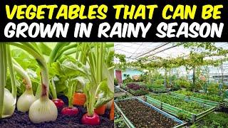 Grow These Monsoon (Rainy Season) Vegetables in India at Home