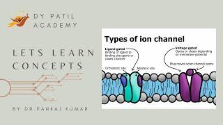 Let's Learn Concept by D Y Patil Academy