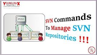 SVN Commands To Manage SVN Repository