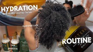 How to keep curly hair moisturized | how to grow your curly hair faster and longer