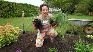 Alan Titchmarsh's Gardening Club – Katy Watson’s Country Garden