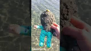 Newest Mochi funny video #cocomelon #mochi #funny