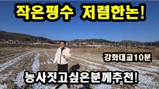 강화도토지/작은평수저렴한논 강화토지