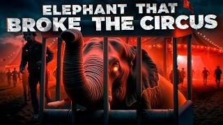 The Elephant That CHANGED The Circus Forever