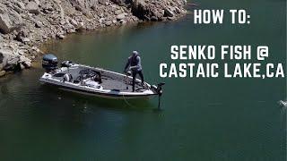 How to : Senko Fish @ Castaic Lake, CA