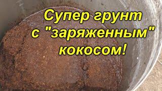 Правильное приготовление кокосового субстрата+заправка его "Рост концентратом"