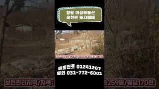 ▶ 대성부동산     ▶ 031 - 772 - 6001