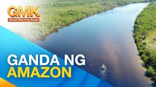 Mga kakaibang nilalang na makikita sa Amazon River | Now You Know