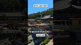 바다도 좋다하고 절도 좋다거늘 바다와 절이 한 곳에  기장 #해동용궁사