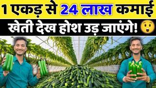 खेती देख होश उड़ जाएंगे, 1 एकड़ से 24 लाख कमाई / Poly house Cucumber profitable Farming khira ki kheti