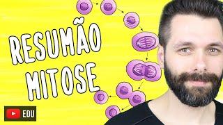 RESUMO sobre MITOSE | Biologia com Samuel Cunha