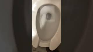 Brand new Toto toilet with Tornado flush