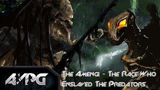 The Amengi - The Race Who Enslaved The Predators (Predator Lore)