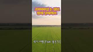 베트남 서부 락자의 푸른 논 위를 날아보자~ #베트남 #락자 #왕촌TV