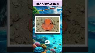 Can you guess these sea animals? #quiz  #trivia #generalknowledge #geographyquiz #flag #flagquiz