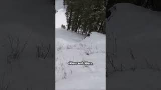 Sun Valley's Flawed Advanced and Expert Terrain