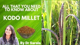 All That You Need To Know About Kodo Millet | Dr Sarala |