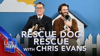 Rescue Dog Rescue with Chris Evans