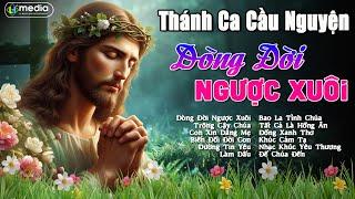 THÁNH CA CÔNG GIÁO TUYỂN CHỌN ĐẶC BIỆT - NHẠC THÁNH CA ĐƯỢC NGHE NHIỀU NHẤT HIỆN NAY