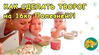 КАК СДЕЛАТЬ ТВОРОГ на 16 кг полезней! Творог видео. Kyani Sunrise