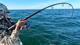 LIVE Bait And JIGGING Ship Wrecks In The GULF of MEXICO!