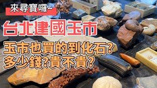 【建國玉市】穿越時空！走進石代的走廊探索地球的記憶！化石就在你身邊？！