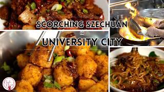 Is Chengdu Famous Food Philly's Spiciest Szechuan? | Check, Please! Philly