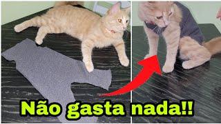 COMO FAZER ROUPA CIRURGICA PARA GATOS * sem gastar nada*