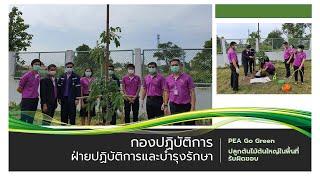 กิจกรรม PEA Go Green ประจำปี 2564  หน่วยงาน กปบ.ฉ.1