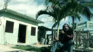 Israel Vibration 'Natty Dread