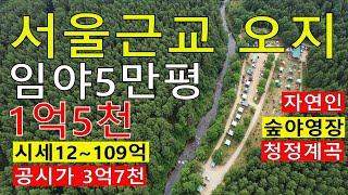 1억5천 5만~평 청정계곡~숲 서울근교 오지임야 공시가3.7억 시세12~109억 건축가 자연인 전원생활 숲야영장+힐링숲6차산업 숲팬션 땅과함께(새희망을)경매임야 공매임야 나도땅주인