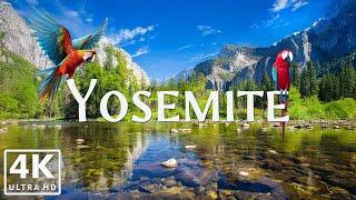 Explore Yosemite in 4K | Stunning Nature Footage & Peaceful Music | Ultra HD