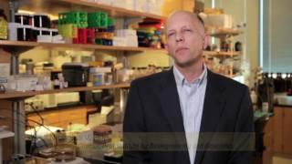Petit Institute 20th Anniversary Video