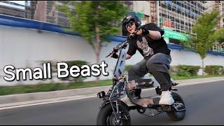 Ebike Small Beast WEPED miniMONG / 배달 전기자전거 미니벨로 위페드 미니몽 듀얼 최종