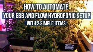 UPDATE How to Automate Your Hydroponic Flood and Drain | Auto Ebb and Flow for Horticulture Garden