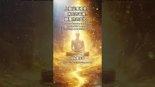 Where do humans come from? The Buddha's answer will challenge everything you know.