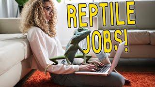 How to Get a Job with Reptiles!