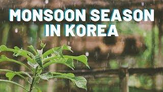 Monsoon Season In Korea | Torrential Rain For Days!!  | Life In Korea Vlog