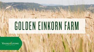 Golden Einkorn Farm | Young Living Essential Oils