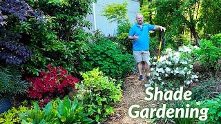 Our Evolving Shade Garden - Garden Design