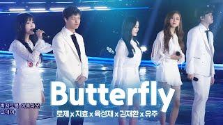 Special Stage 'Butterfly' @ 2017 SBS Gayo Daejeon Part 2 20171225