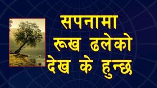 सपानामा रूख ढलेको देखे के हुन्छ | Tree falling down in dream