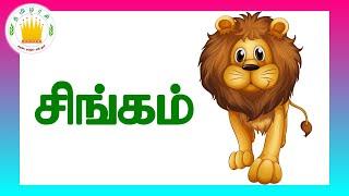 நான்கு எழுத்து சொற்கள்  - தமிழரசி |  Learn Four Letter Words in Tamil for Kids & children Part 1