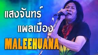 รวมฮิต มาลีฮวนน่า#ฟังยาวต่อเนื่อง | เพื่อชีวิต | มาลีฮวนน่า#เพลงเก่าเพราะๆ(ส่วนที่ 1)มาลีฮวนน่า